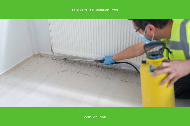 PEST CONTROL Methuen Town